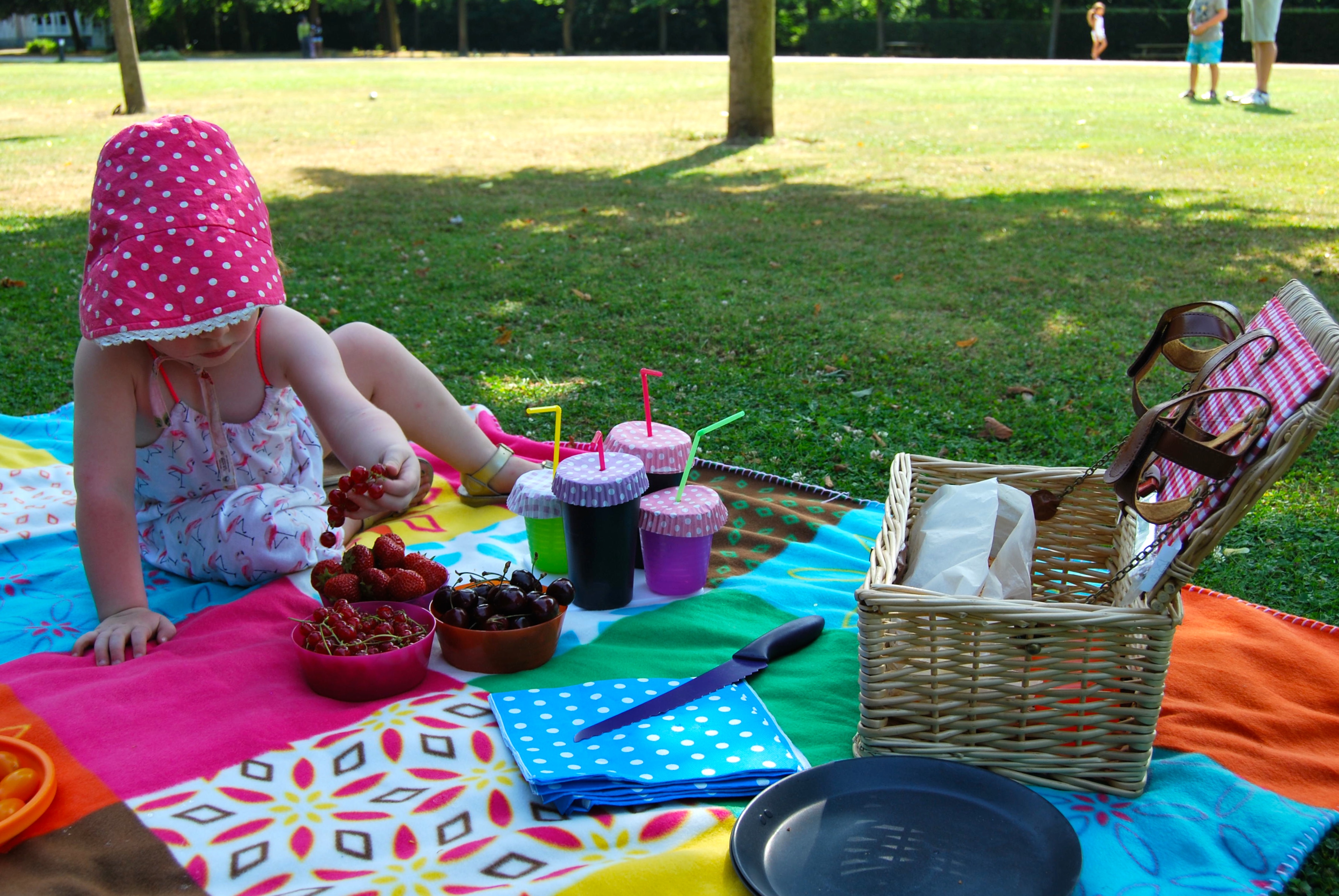 terugvallen plaag Geweldig Mama, gaan we eens picknicken? Tips voor een mini-picknick