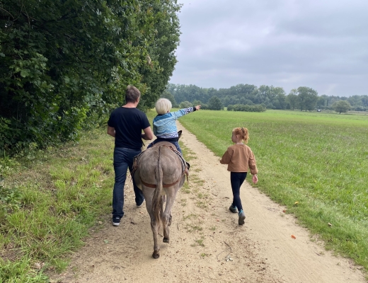 Diest met kinderen ezelstocht